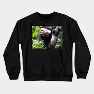 White faced monkey, la Gloria de Puriscal Crewneck Sweatshirt